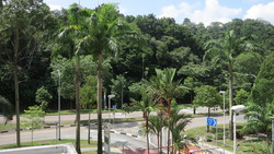 Blk 88 Telok Blangah Heights (Bukit Merah), HDB 5 Rooms #178579422